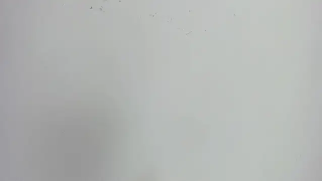 missexy303av online show from 09.24.25