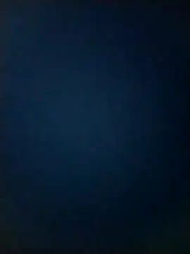 cindy damm online show from 12.21.24