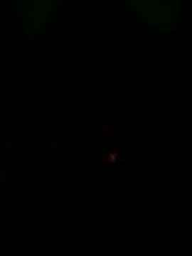 Long Laster online show from 02.12.26