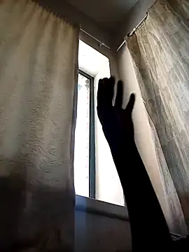 Cocowett online show from 10.10.25