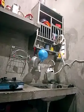 VyingAviary online show from 02.11.25