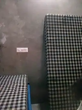 VyingAviary online show from 02.21.25