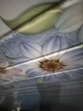 kunalmishra2003 online show from 11.20.25