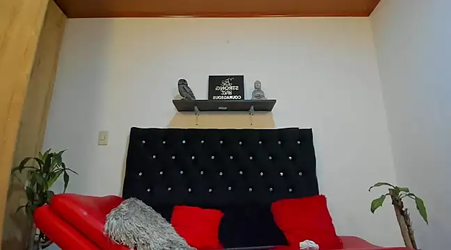 julian wallace online show from 02.18.25