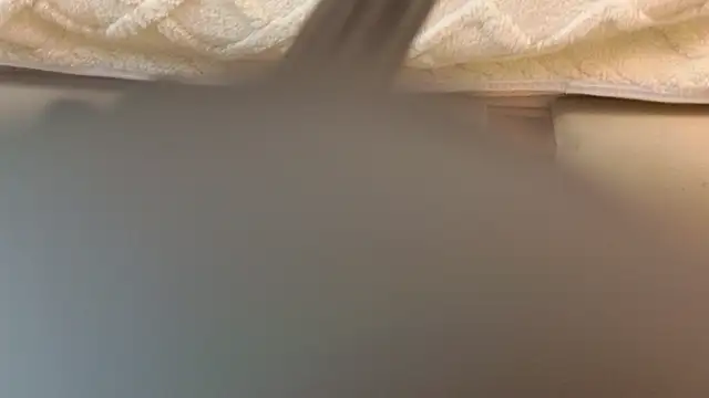 Ariana Lu online show from 03.08.25