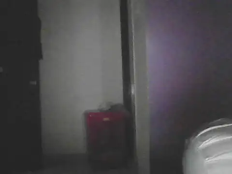 Snapshot of pushparajmodda chatting on 10.25.25 pushparajmodda online show from 10.25.25