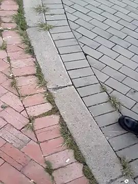 sophie banger online show from 11.18.25