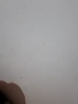 Snapshot of sweet_Melody_xx chatting on 09.29.25 sweet Melody xx online show from 09.29.25