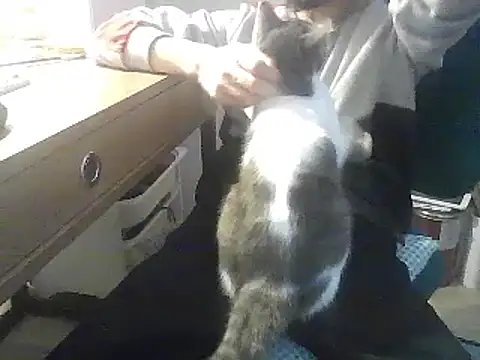 kallaviz online show from 01.07.26