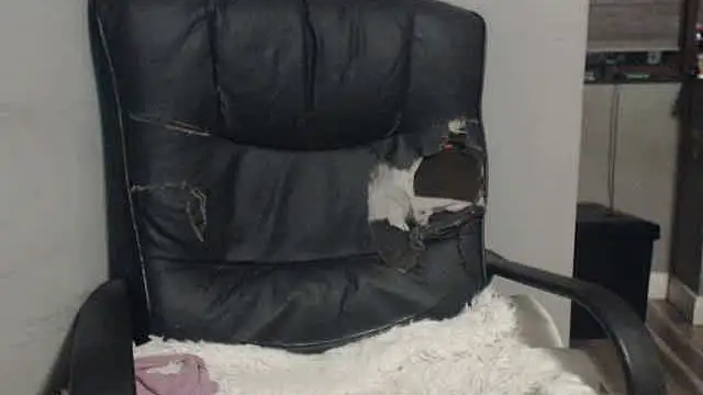 sexyfuckers online show from 11.06.25