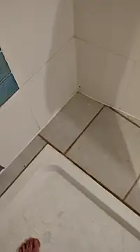 Snapshot of Ariete80s chatting on 02.21.25 Ariete80s online show from 02.21.25