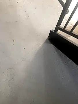 zeekBbc online show from 10.27.25