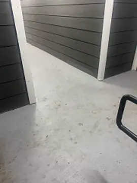 zeekBbc online show from 02.08.26