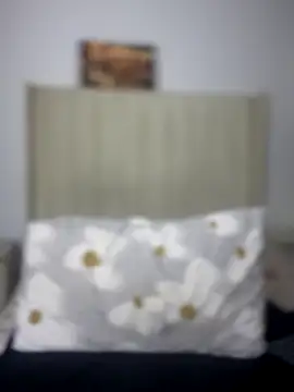 BhadBhad Kitty online show from 10.08.25