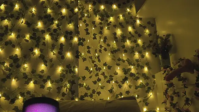 Snapshot of Brenda_M00n chatting on 12.28.24 Brenda M00n online show from 12.28.24