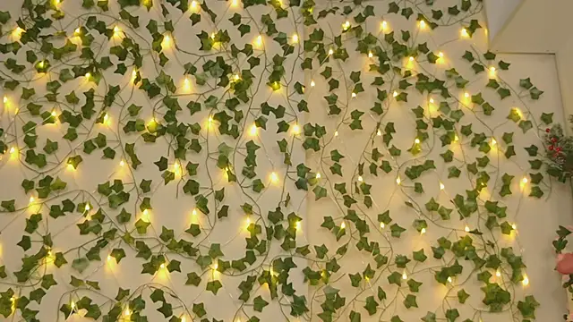 Snapshot of Brenda_M00n chatting on 01.05.25 Brenda M00n online show from 01.05.25