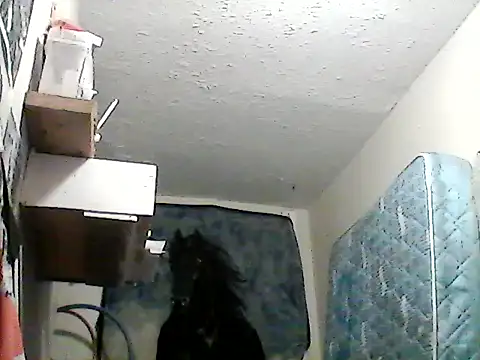 Snapshot of lilbishmiss chatting on 01.26.25 lilbishmiss online show from 01.26.25