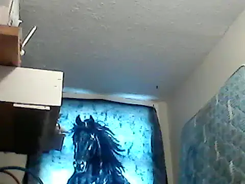 Snapshot of lilbishmiss chatting on 01.26.25 lilbishmiss online show from 01.26.25