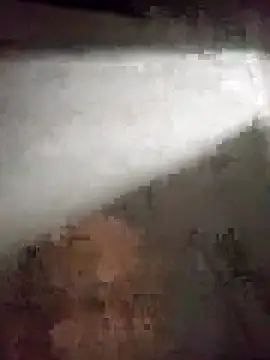 edijavimes online show from 02.20.26