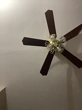 islandvybee55 online show from 03.25.26