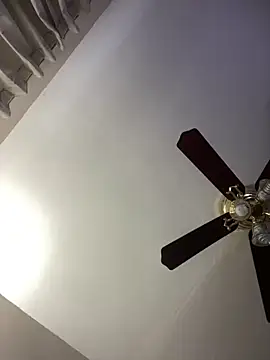 islandvybee55 online show from 04.08.26