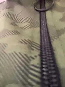 Snapshot of adahara19 chatting on 12.17.24 adahara19 online show from 12.17.24