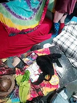 Boo-boo kittyfux online show from 10.15.25