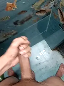 Mr joh online show from 02.12.26