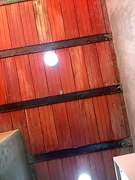 Snapshot of MollySanders___ chatting on 10.18.25 MollySanders    online show from 10.18.25