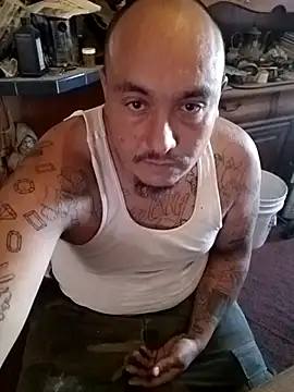 wilsons12 online show from 11.10.25