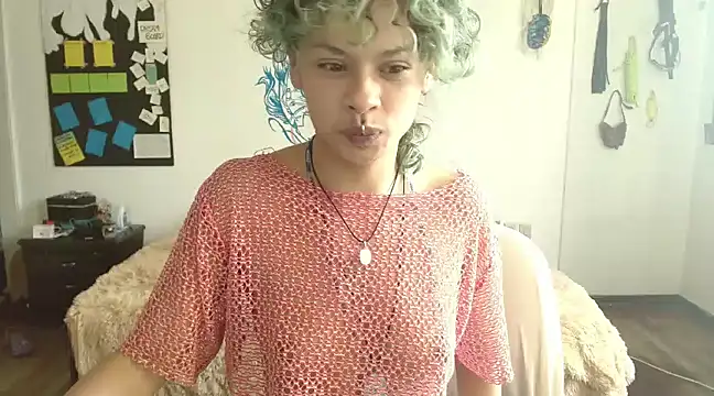 fenixmfx19 online show from 01.02.25