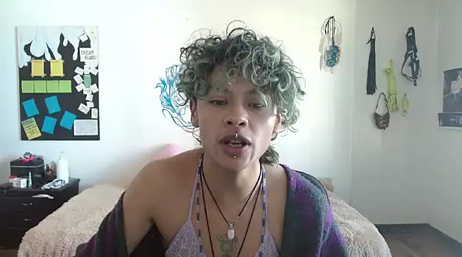 fenixmfx19 online show from 01.07.25