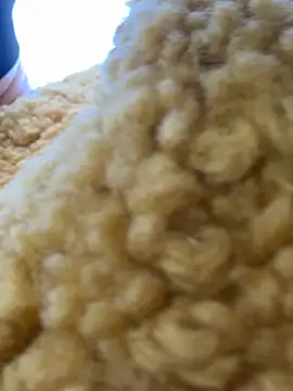 moneymaker taipei online show from 02.25.26