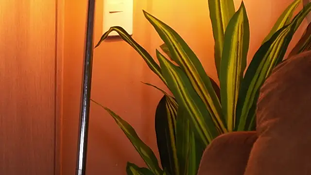 AliceShazaham  online show from 07.19.26