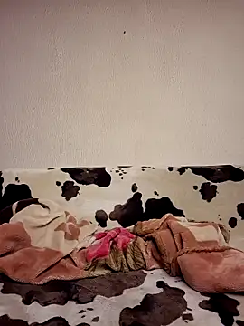 Zgodanilep online show from 03.31.26