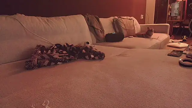 Nina24 online show from 10.16.25