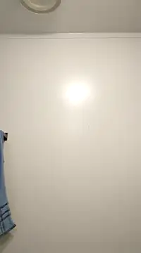 jtw14 online show from 02.11.25