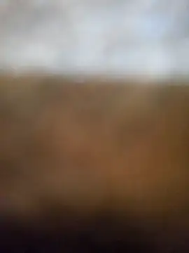 SEXY bhabi- online show from 03.17.25