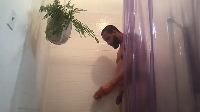 Z415 online show from 10.08.25