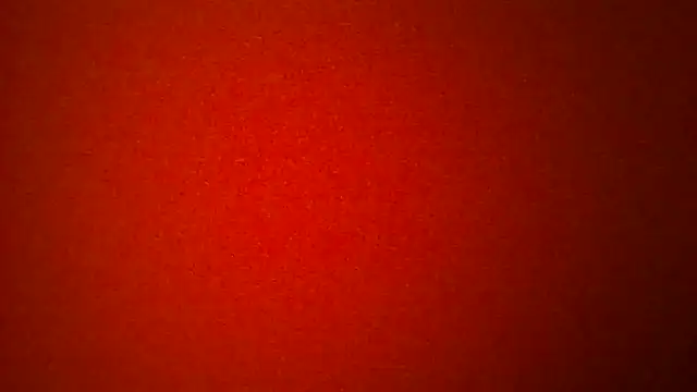 Snapshot of Porzz-6 chatting on 02.03.26 Porzz-6 online show from 02.03.26