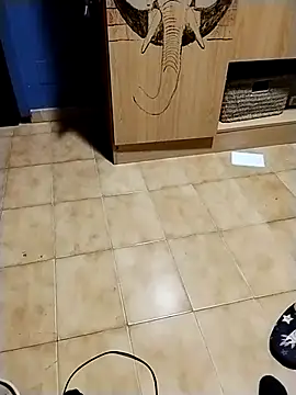 minitranca online show from 11.10.25