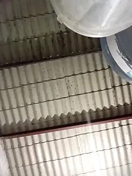 strip 1212 online show from 03.08.26