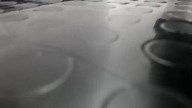 Kitten Hot  online show from 11.13.25