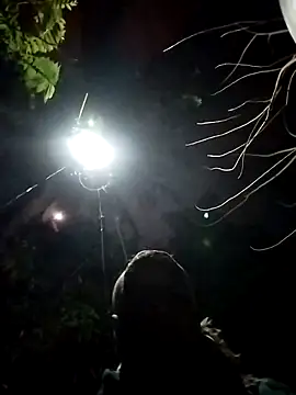 dick 01728 online show from 02.09.25