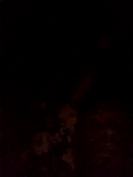 Hilkanna  online show from 03.08.26