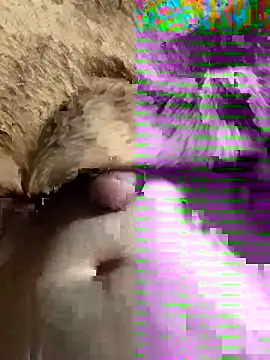 sansato133 online show from 01.19.25