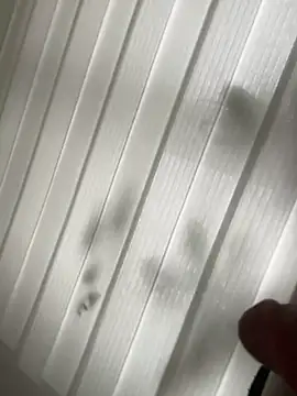 derFickerali online show from 01.23.25