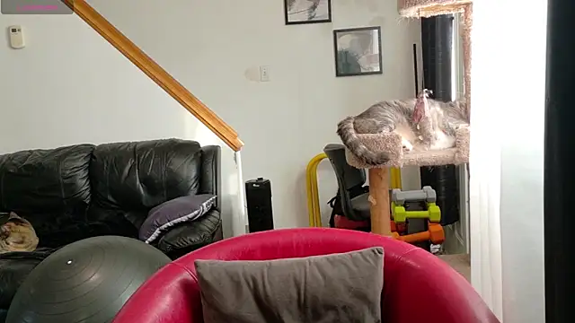 Thekodyy online show from 09.17.25