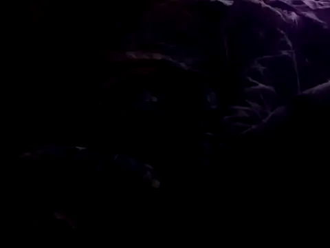 Pladurexxx online show from 03.04.26