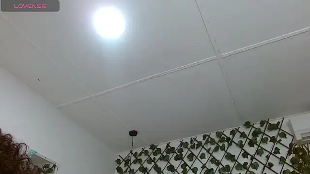 dannaberlin 0 online show from 12.30.24